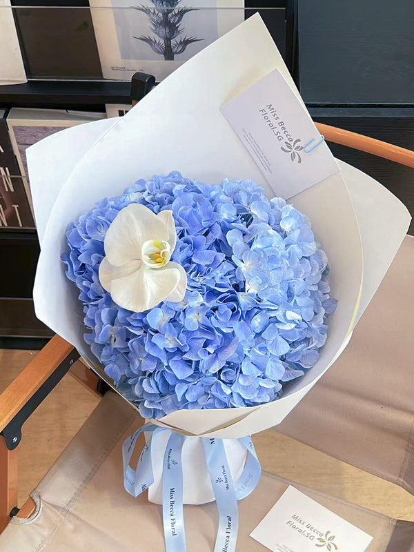 Korea style blue hydrangeas flower with orchid fresh flower
