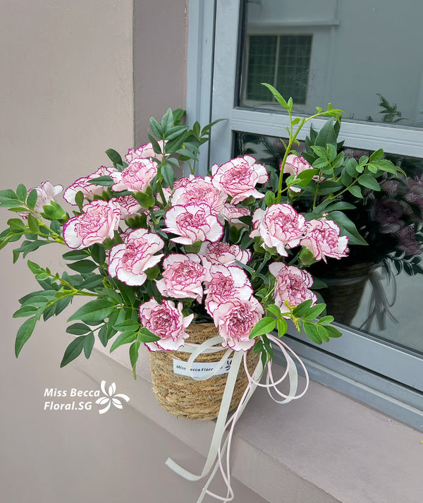 Fresh purple carnations basket table flower