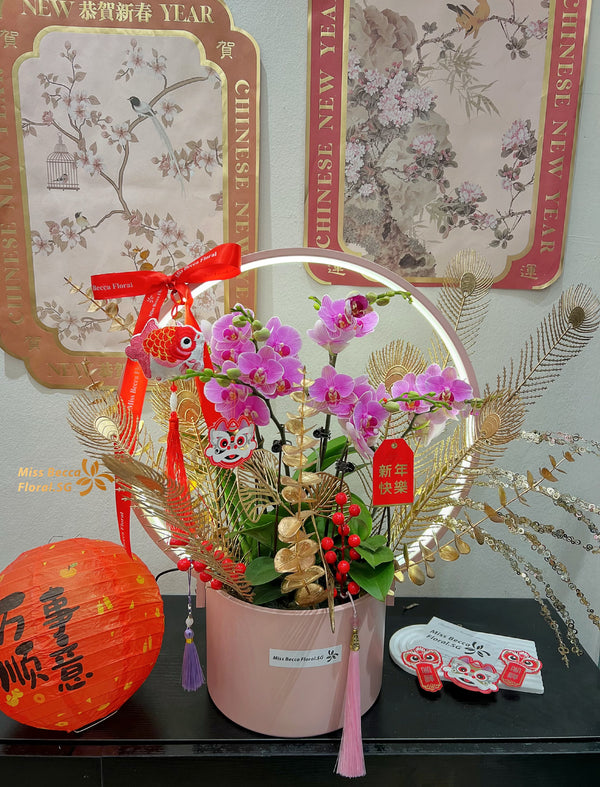 Pink & Purple 2025 Chinese new year ORCHID flower table flower REAL FLOWER PLANT 蝴蝶兰年宵花 with LED LIGHT