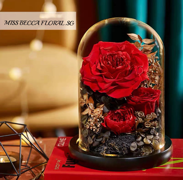 Preserved dome rose flower with light