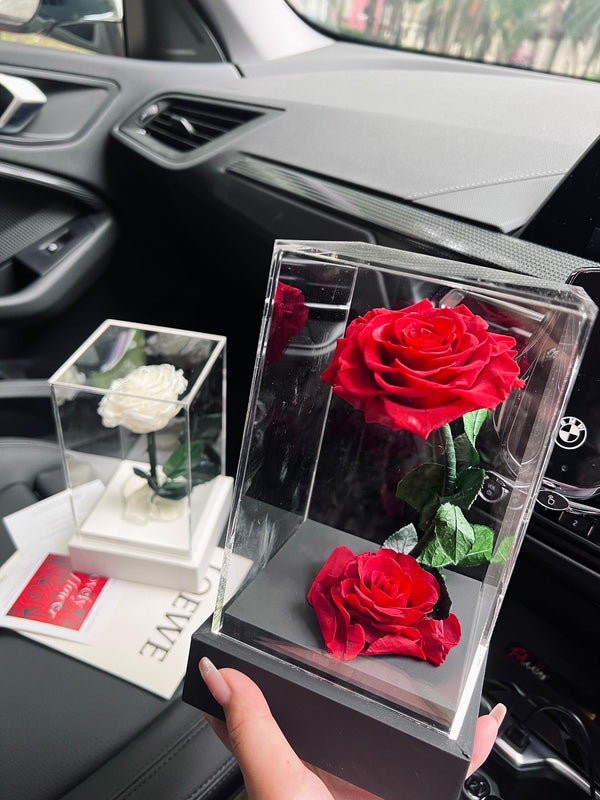 Acrylic Rose Preserved Flower Box